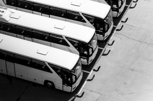 a fleet of charter buses