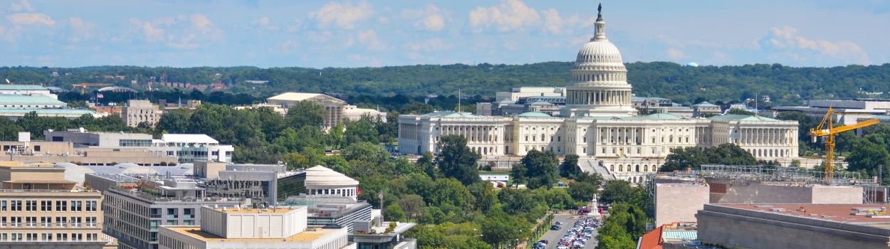The Capitol Building in Washington D.C